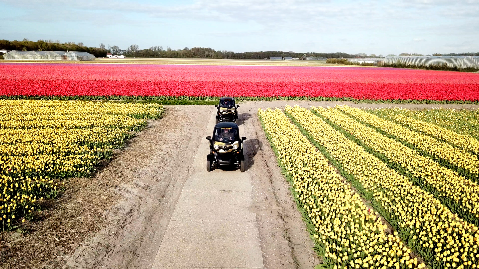 /amsterdam/classificaties/keukenhof/lissecard/twizy header-1547543093.jpg Esperienza Flowerfield con veicoli elettrici (GPS e Audioguida inclusi)